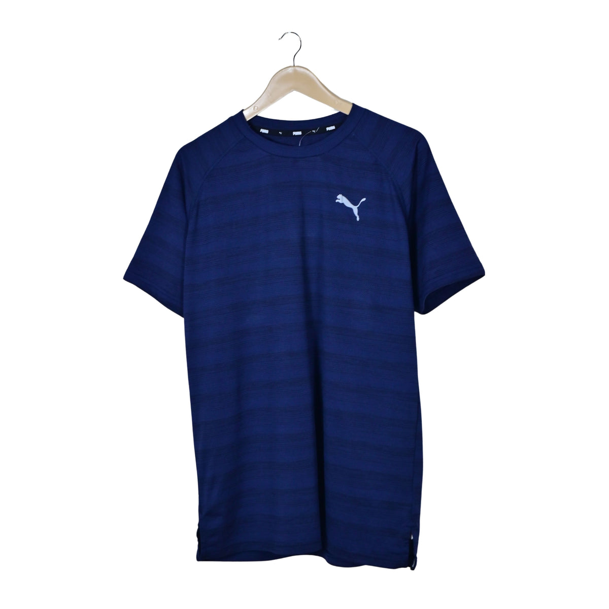 Men's Workout Dri-fit T-Shirt