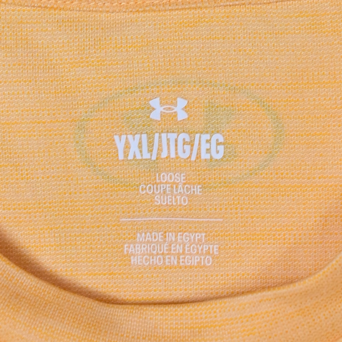 Men's Workout Dri-fit T-Shirt