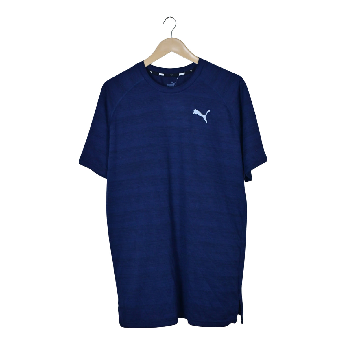 Men's Workout Dri-fit T-Shirt